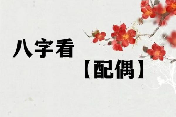 探索19920215命理的奥秘与人生启示