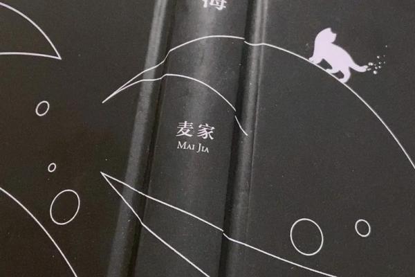 命运之数20020811：探寻人生中的深层意义与启示