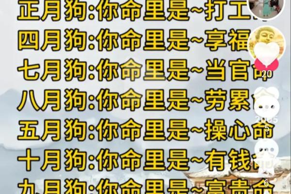火命女与金命男的完美婚姻配对解析