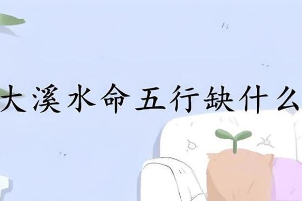 50年兔命解析：木命与水命的命理探秘