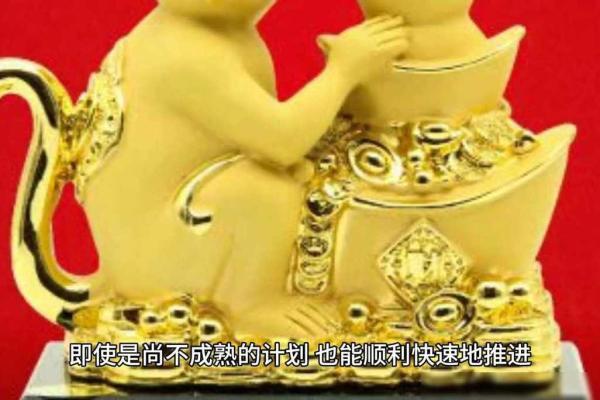 45岁生肖与命运：一场关于人生的探索之旅