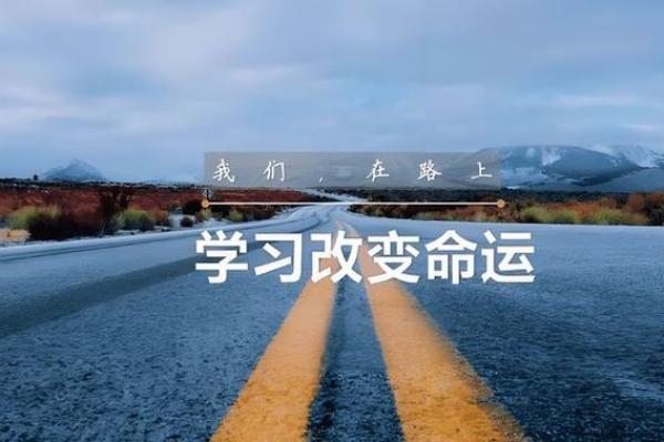 探索命运的奥秘：1987年6月16日的命理分析与人生启示