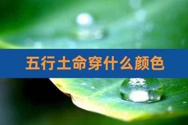 土命与伴木的完美组合：解读土命的五行之缘