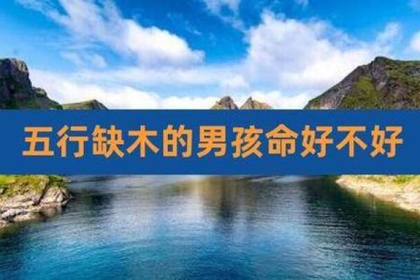 88年属龙的木命人：探寻命理之缺与人生之路