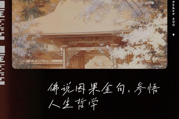 脾气如何影响命运：佛说的智慧与生活哲学