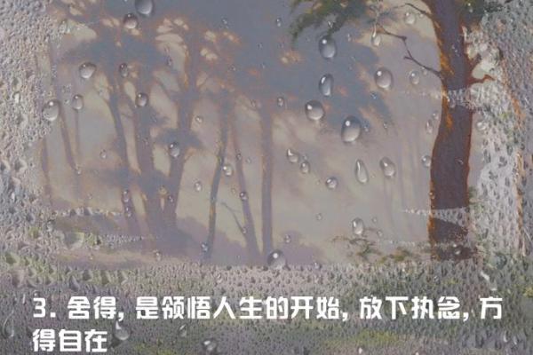脾气如何影响命运：佛说的智慧与生活哲学