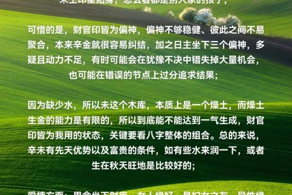 辛亥日柱男命与适配女命:相辅相成的命理之道 辛亥日柱男命与适配女命:相辅相成的命理之道