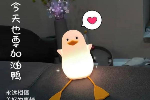 19921031：命运之路与人生智慧的探索