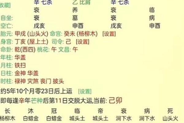 女命比劫重：揭示命运背后的秘密与智慧