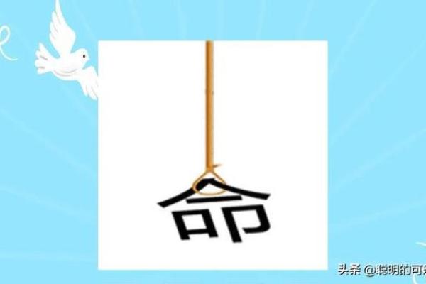 权力与命运的交织：从成语看人生的无常与智慧