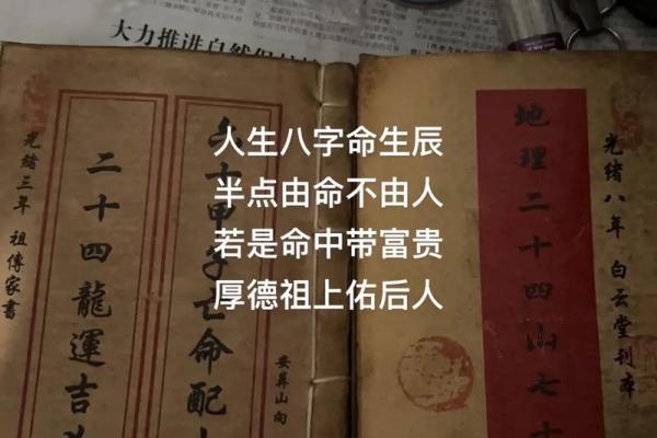 命比什么都重要,人生的真正价值与意义探讨 命比什么都重要,人生的真正价值与意义探讨