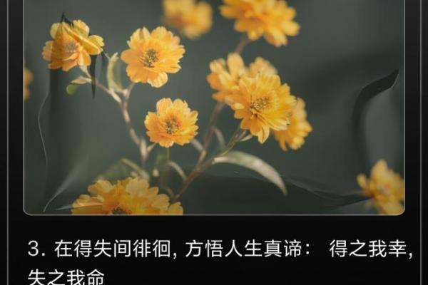 命比什么都重要,人生的真正价值与意义探讨 命比什么都重要,人生的真正价值与意义探讨