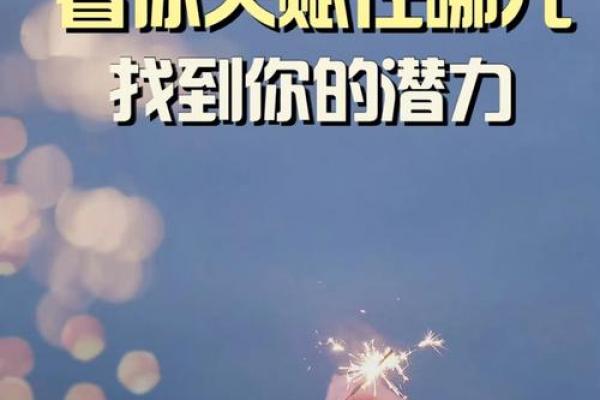 高命与低命的深刻探讨：人生的多样性与选择