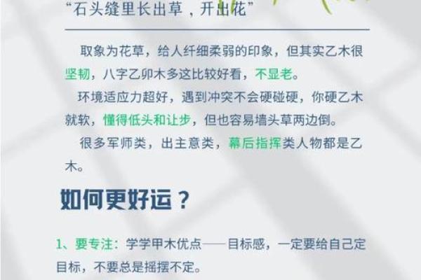 女人四两二命：探秘女性命理与命运之美