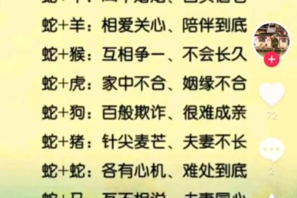 生肖配命:揭秘十二生肖如何寻找到最佳命运搭档! 生肖配命:揭秘十二生肖如何寻找到最佳命运搭档!