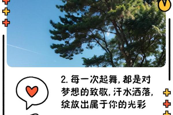命运如西风，挥洒人生的精彩篇章