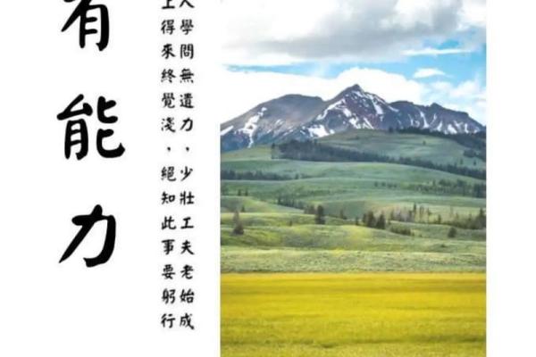 敦厚之命：揭示男命的命理特征与人生智慧