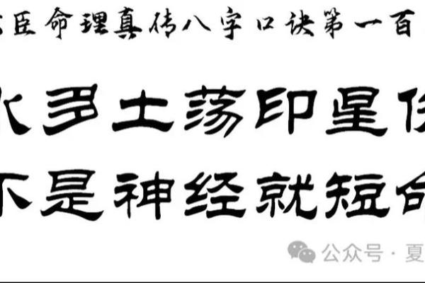 探秘木命与土命的深刻关联，揭秘命理玄机