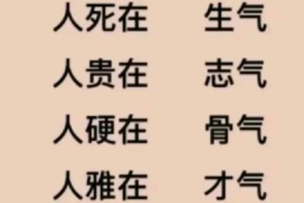 1995年12月出生的人的命运与人生解析