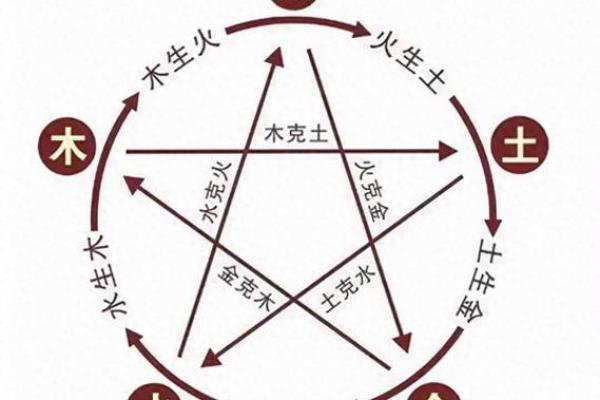 属相与命格的相生相克：解密命运背后的玄机