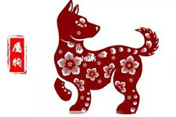 2019年属狗人命运解析：揭示你的性格与未来发展趋势