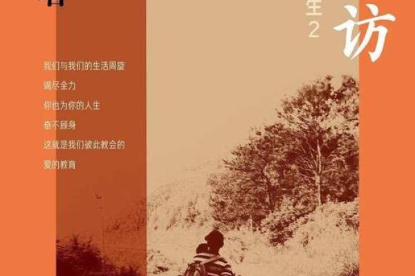 二十多岁的小猪命：解读年轻人的命运与机遇
