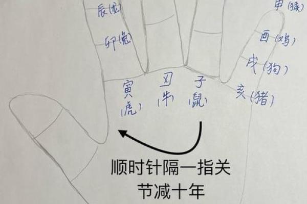 脚型与命运：揭示脚型背后的神秘命理关系
