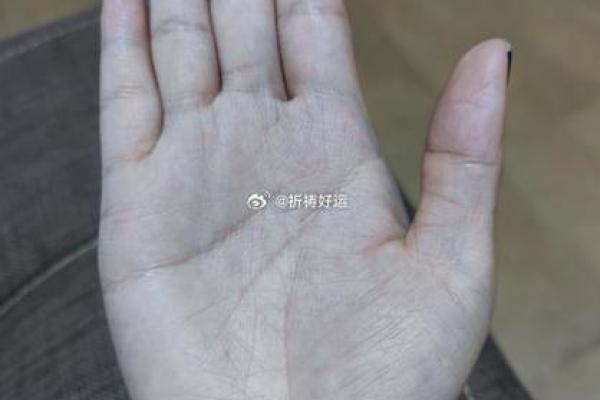 金钗命女性适合从事哪些行业？揭示财运的秘诀与选择！