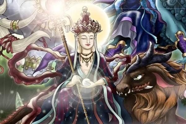二十多岁的小猪命：解读年轻人的命运与机遇