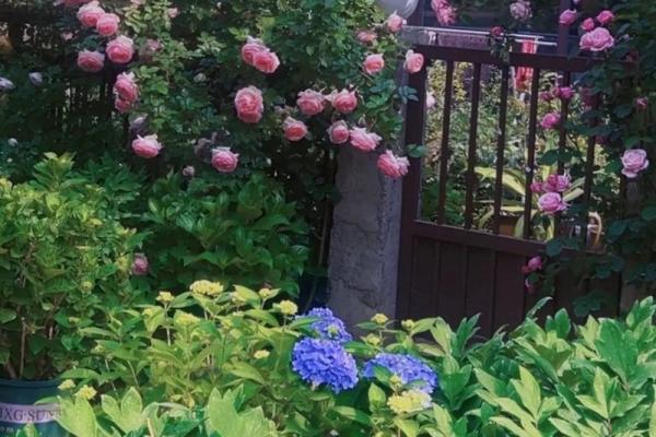 耳闻命运，策马行天外：人生的音符与韵律