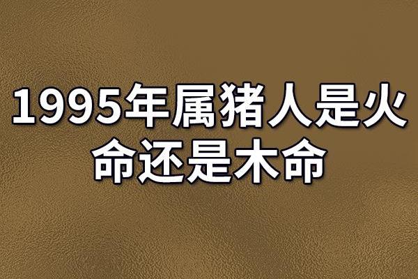 长流水命与木命、火命的财运关系探秘