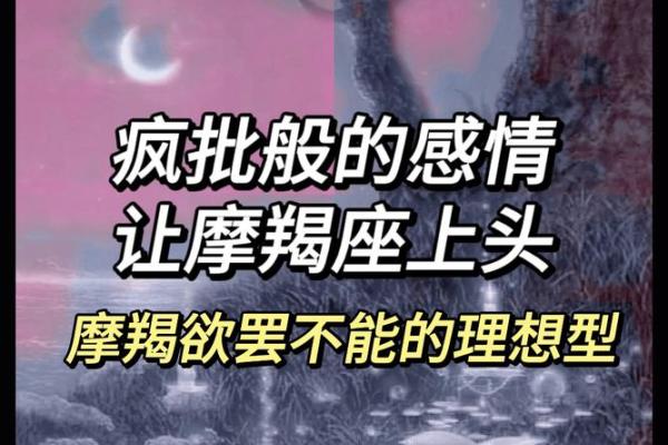 土命男与命理：寻找理想伴侣的最佳选择