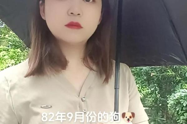 10虚岁属狗的命理解析：一生幸福与挑战并存的旅程