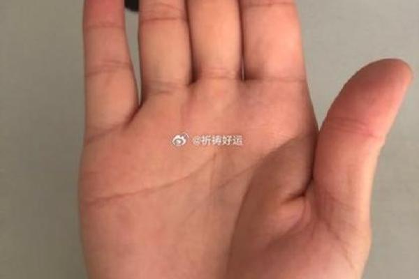 解密20050313的命运密码，探寻辉煌与挑战的双面人生