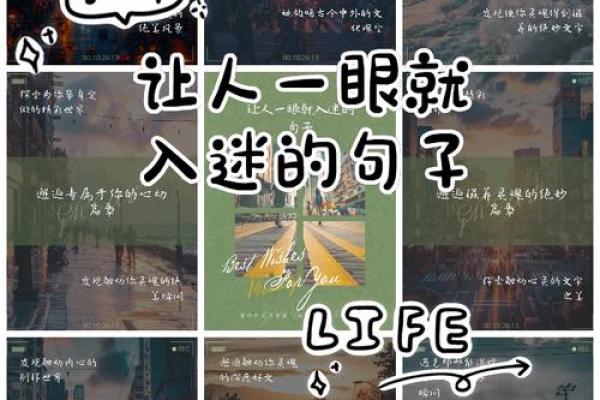 探索壁上土命鼠男的命格与生活的奇妙联系