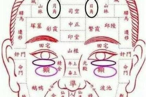 揭开1958年属鸡人的命理之谜，解读命运与性格的深刻联系