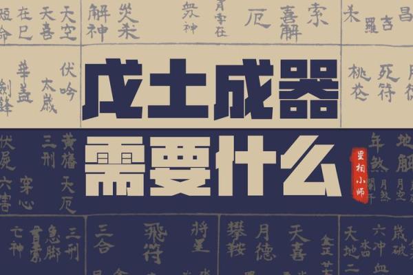探秘命理：4命6命究竟蕴藏着怎样的玄机？