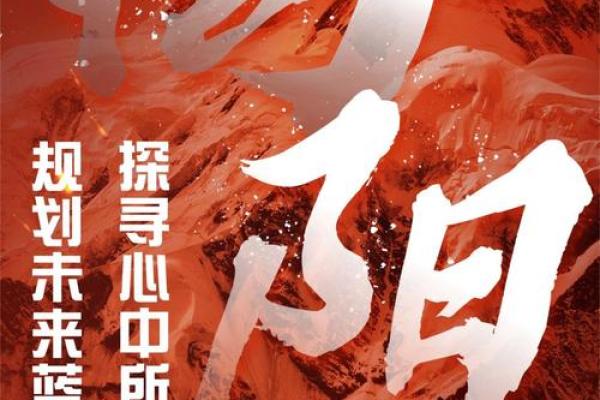 深入剖析：20100402的命运密码与人生选择探寻