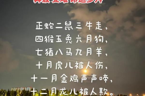 1983冬月6日出生命运解析：走向人生辉煌的秘密