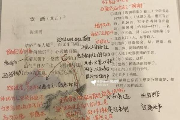 和尚命：探寻内心世界的灵性旅程与命运奥秘