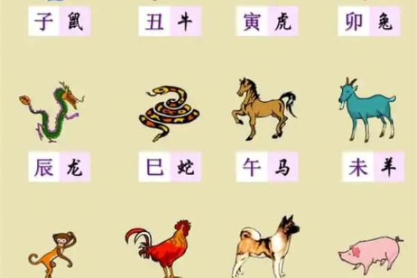 1984年出生的人属什么命？命理解析与生活启示