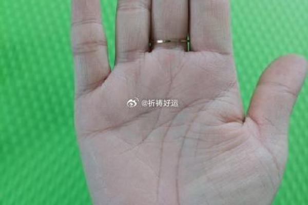 探秘11980的命运密码：如何解读你的数字命格