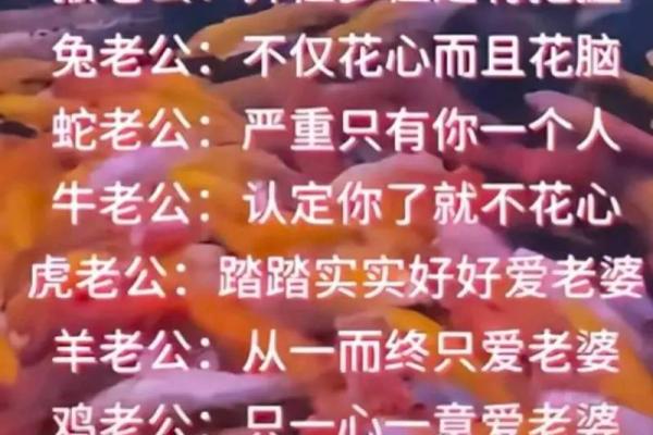 属鸡亥时出生，命中注定的精彩人生与性格特征