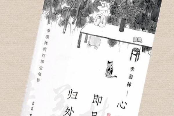 莲花命：生命旅程中的智慧与启示