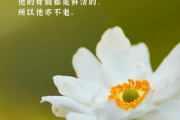 1972年出生的人：命运与人生的智慧之旅