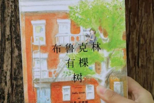 1061年命运篇：解锁历史密码与生命的启示