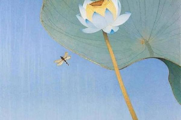 1984年出生的木命：在大自然中寻找生命的力量与智慧