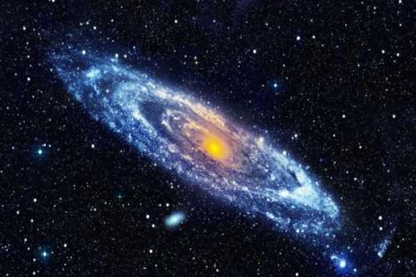 190羊羊的命运解析：揭开属羊人的人生秘密