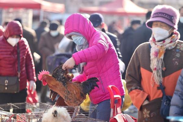 命运与八五年腊月十九的探秘