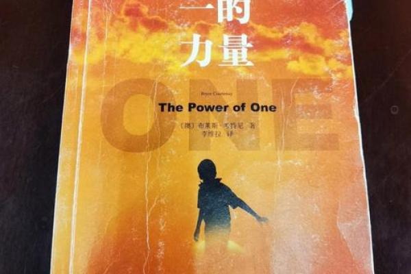 探索2003年火命的奥秘：火元素的力量与人生轨迹